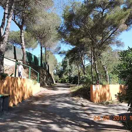 Campsite Camping Reale