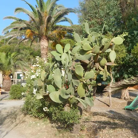 Campsite Camping Reale