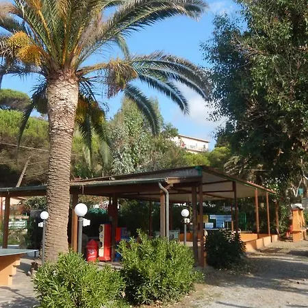 Campsite Camping Reale *