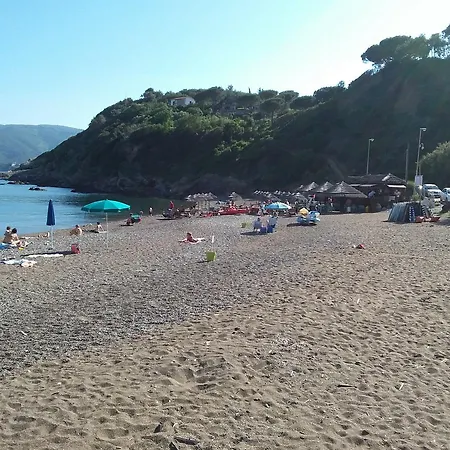 Camping Reale