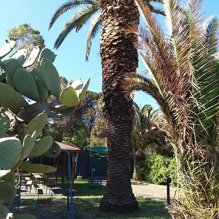 Campsite Camping Reale Porto Azzurro