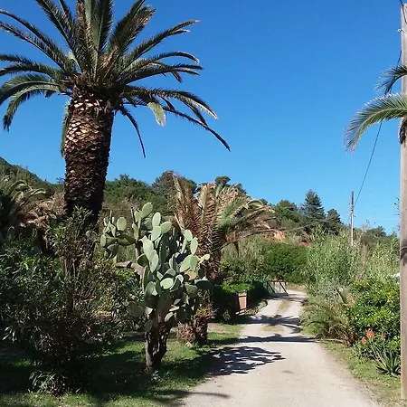 Camping Reale Campsite *