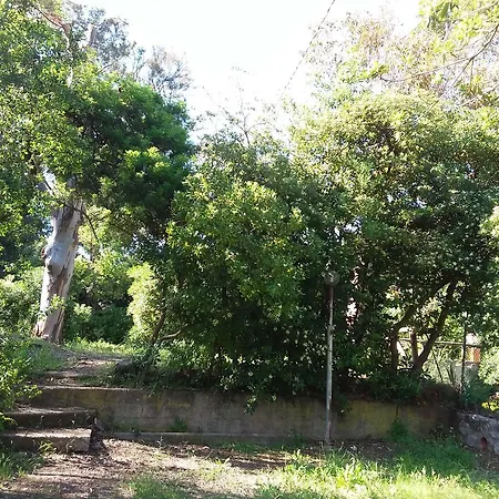 Camping Reale * Porto Azzurro