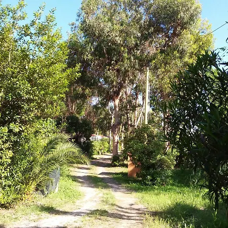 Campsite Camping Reale