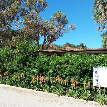 Camping Reale Campsite *