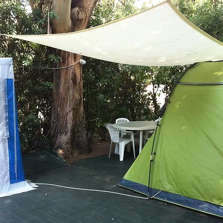 Camping Reale Campsite *